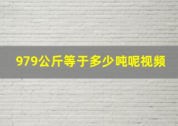 979公斤等于多少吨呢视频