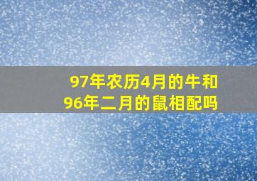 97年农历4月的牛和96年二月的鼠相配吗