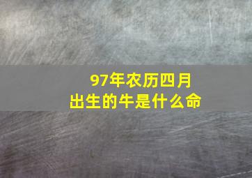 97年农历四月出生的牛是什么命