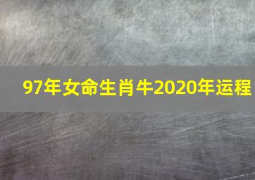 97年女命生肖牛2020年运程