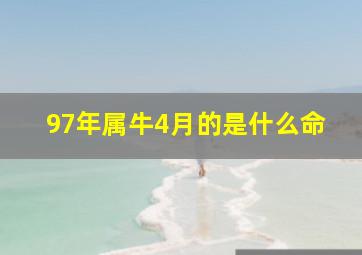 97年属牛4月的是什么命