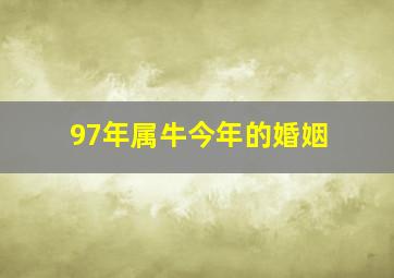 97年属牛今年的婚姻