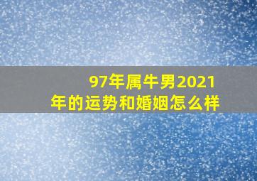 97年属牛男2021年的运势和婚姻怎么样