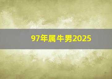 97年属牛男2025