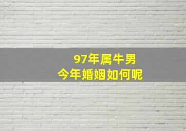 97年属牛男今年婚姻如何呢