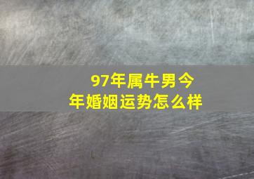 97年属牛男今年婚姻运势怎么样