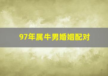 97年属牛男婚姻配对