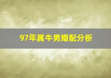 97年属牛男婚配分析