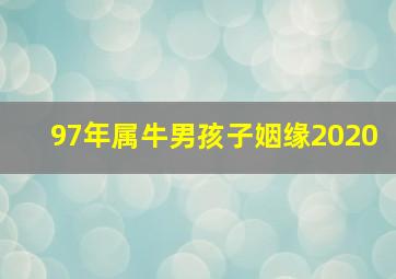 97年属牛男孩子姻缘2020