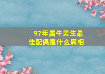 97年属牛男生最佳配偶是什么属相