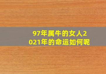 97年属牛的女人2021年的命运如何呢