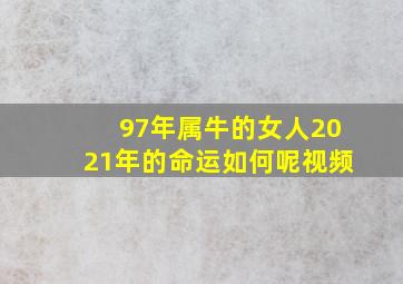 97年属牛的女人2021年的命运如何呢视频