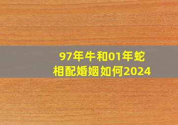 97年牛和01年蛇相配婚姻如何2024