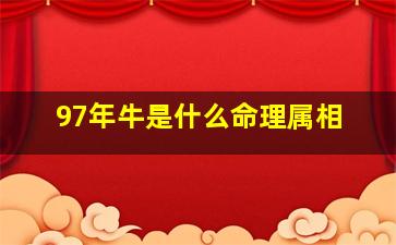 97年牛是什么命理属相