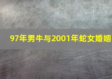 97年男牛与2001年蛇女婚姻