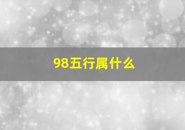 98五行属什么