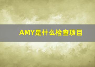 AMY是什么检查项目