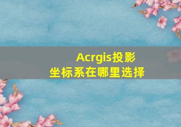 Acrgis投影坐标系在哪里选择