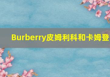 Burberry皮姆利科和卡姆登