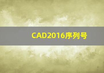 CAD2016序列号