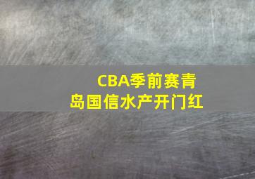 CBA季前赛青岛国信水产开门红