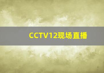 CCTV12现场直播