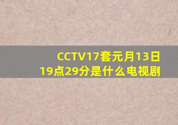 CCTV17套元月13日19点29分是什么电视剧