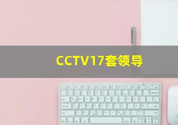 CCTV17套领导