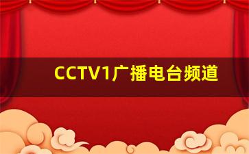 CCTV1广播电台频道