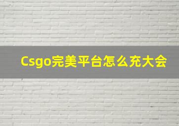 Csgo完美平台怎么充大会