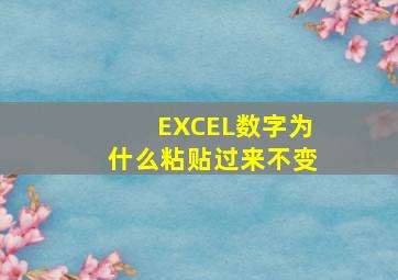 EXCEL数字为什么粘贴过来不变