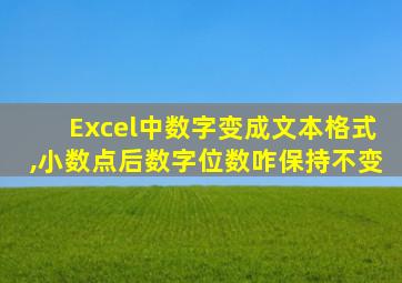 Excel中数字变成文本格式,小数点后数字位数咋保持不变