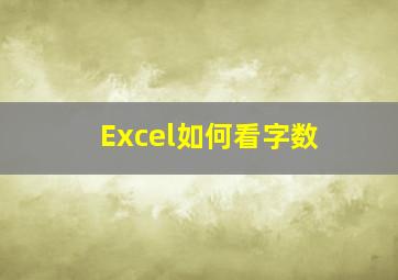 Excel如何看字数