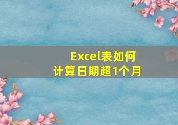 Excel表如何计算日期超1个月