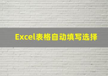 Excel表格自动填写选择