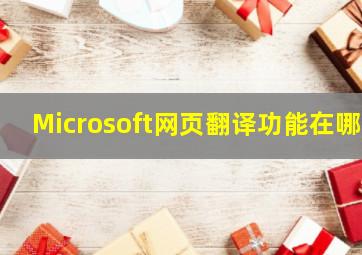 Microsoft网页翻译功能在哪