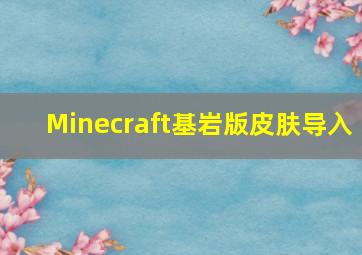 Minecraft基岩版皮肤导入