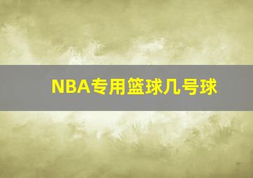 NBA专用篮球几号球