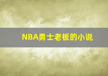 NBA勇士老板的小说