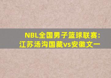 NBL全国男子篮球联赛:江苏汤沟国藏vs安徽文一