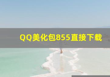 QQ美化包855直接下载