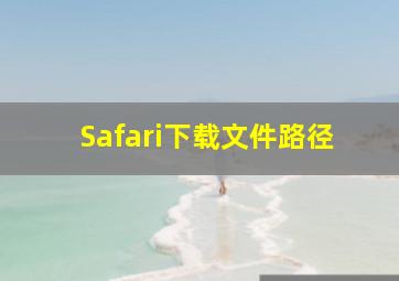 Safari下载文件路径