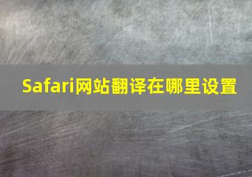 Safari网站翻译在哪里设置