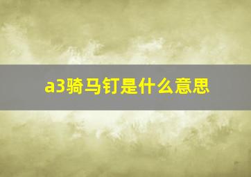 a3骑马钉是什么意思