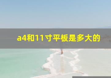 a4和11寸平板是多大的