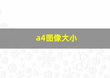 a4图像大小