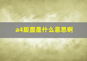 a4版面是什么意思啊