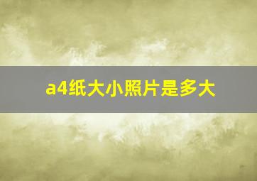 a4纸大小照片是多大