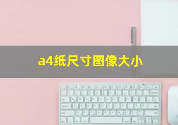 a4纸尺寸图像大小