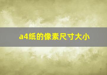 a4纸的像素尺寸大小